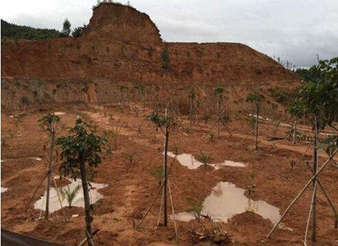 固體廢物 有機氯農(nóng)藥的測定 氣相色譜-質譜法