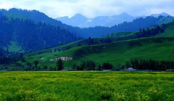 環(huán)境空氣 無機有害氣體的應(yīng)急監(jiān)測 便攜式傅里葉紅外儀法