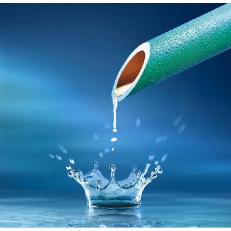 水質 氯酸鹽、亞氯酸鹽、溴酸鹽、二氯乙酸和三氯乙酸的測定 離子色譜法