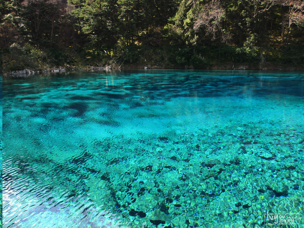 水質 4 種硝基酚類化合物的測定 液相色譜-三重四極桿質譜法